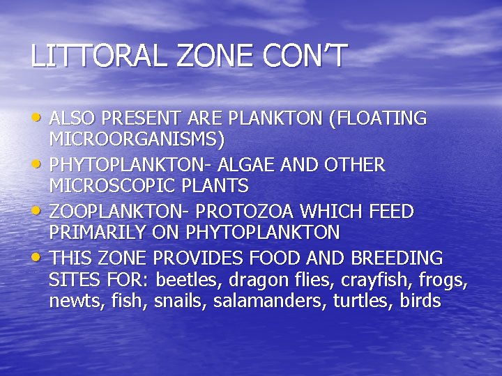LITTORAL ZONE CON’T • ALSO PRESENT ARE PLANKTON (FLOATING • • • MICROORGANISMS) PHYTOPLANKTON-