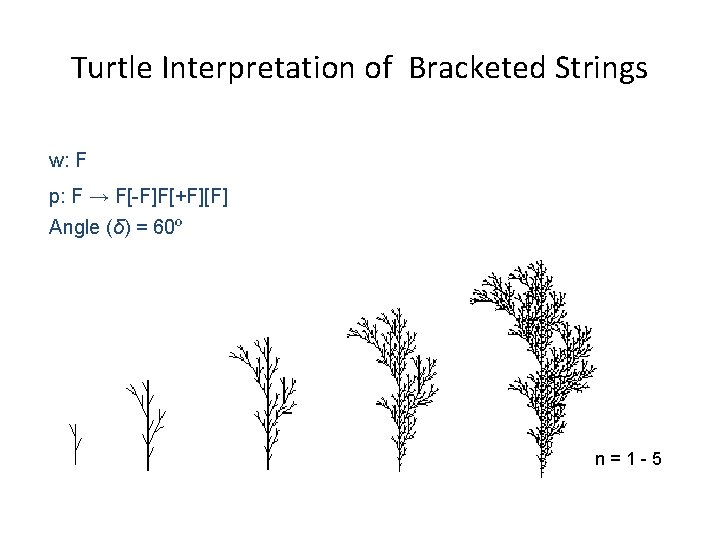 Turtle Interpretation of Bracketed Strings w: F p: F → F[-F]F[+F][F] Angle (δ) =