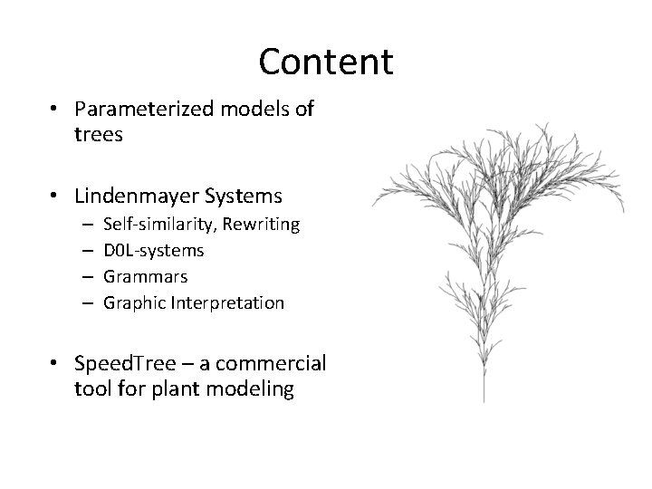 Content • Parameterized models of trees • Lindenmayer Systems – – Self-similarity, Rewriting D
