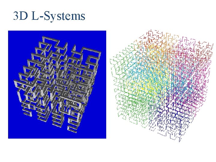 3 D L-Systems 