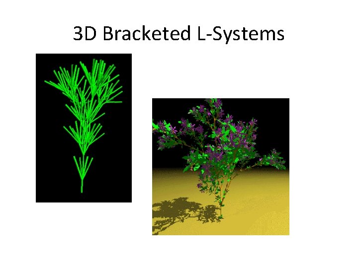 3 D Bracketed L-Systems 