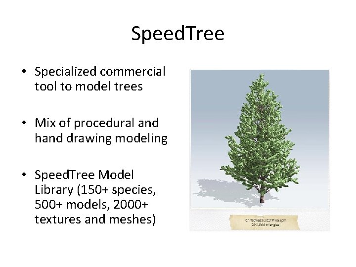 Speed. Tree • Specialized commercial tool to model trees • Mix of procedural and