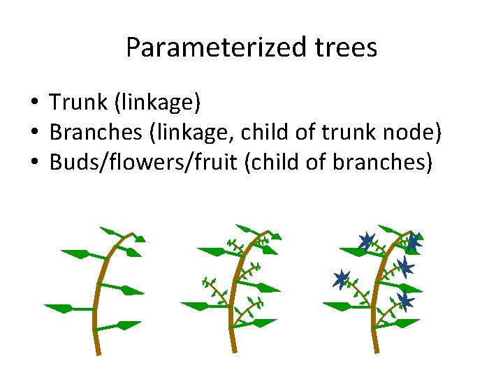 Parameterized trees • Trunk (linkage) • Branches (linkage, child of trunk node) • Buds/flowers/fruit