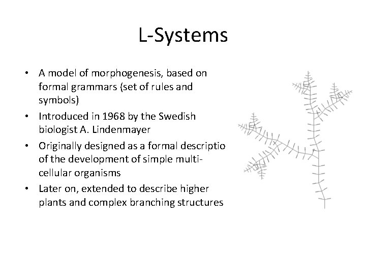 L-Systems • A model of morphogenesis, based on formal grammars (set of rules and
