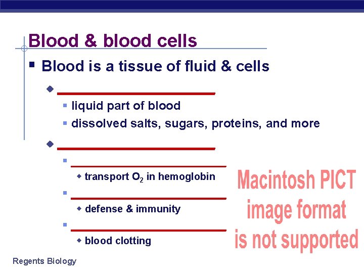Blood & blood cells § Blood is a tissue of fluid & cells u