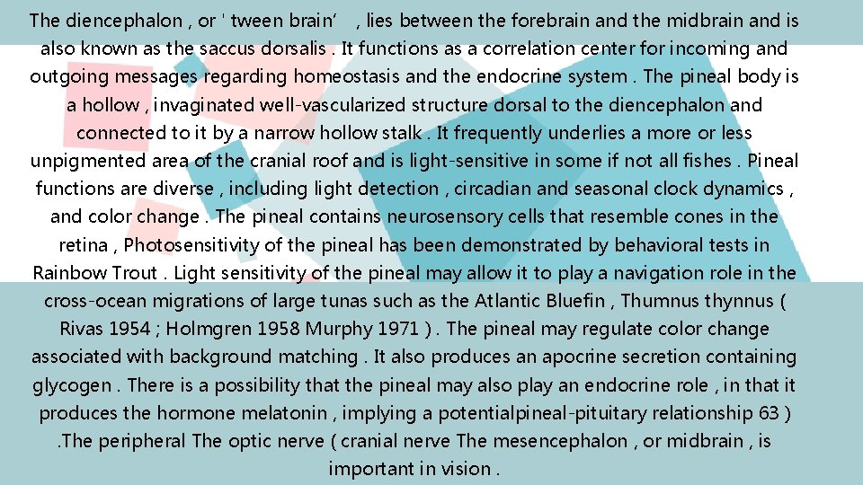 The diencephalon , or ' tween brain’ , lies between the forebrain and the
