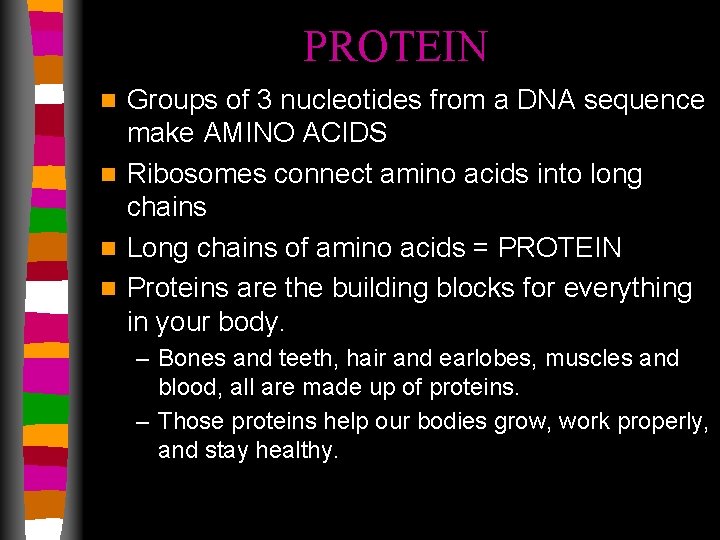 PROTEIN Groups of 3 nucleotides from a DNA sequence make AMINO ACIDS n Ribosomes