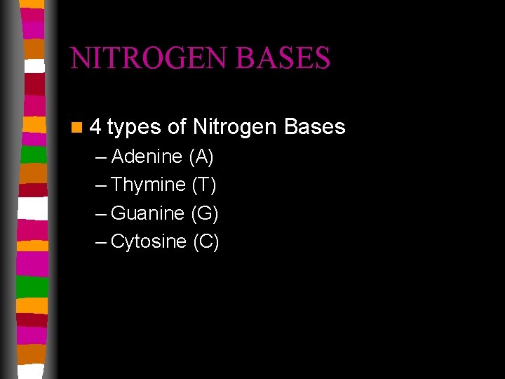 NITROGEN BASES n 4 types of Nitrogen Bases – Adenine (A) – Thymine (T)