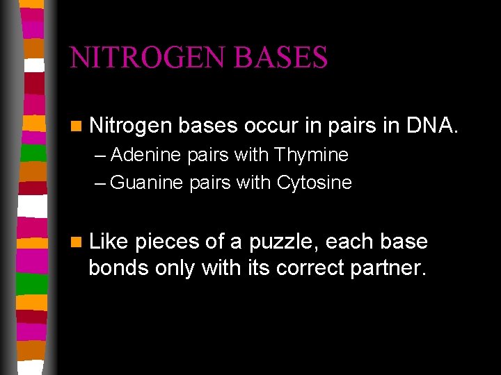 NITROGEN BASES n Nitrogen bases occur in pairs in DNA. – Adenine pairs with