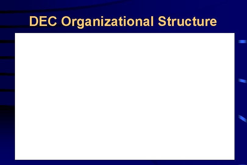 DEC Organizational Structure 