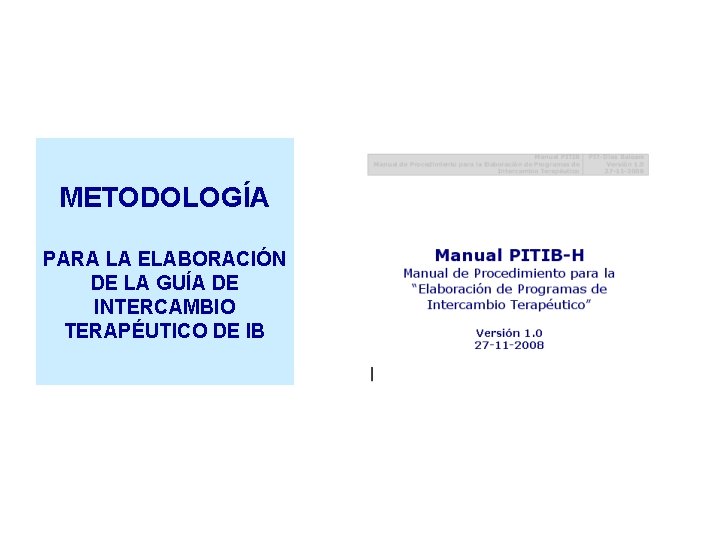 METODOLOGÍA PARA LA ELABORACIÓN DE LA GUÍA DE INTERCAMBIO TERAPÉUTICO DE IB 