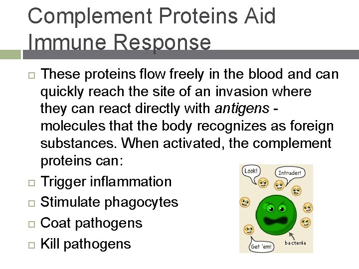 Complement Proteins Aid Immune Response These proteins flow freely in the blood and can