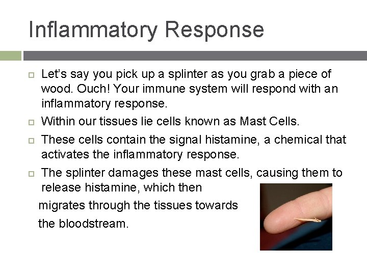 Inflammatory Response Let’s say you pick up a splinter as you grab a piece