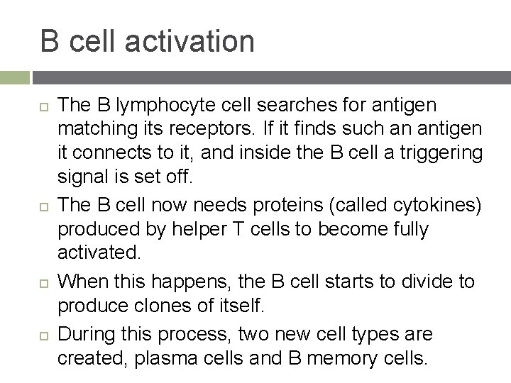 B cell activation The B lymphocyte cell searches for antigen matching its receptors. If