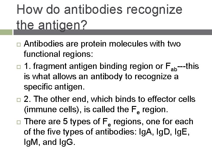 How do antibodies recognize the antigen? Antibodies are protein molecules with two functional regions: