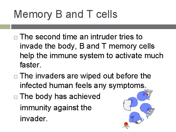 Memory B and T cells The second time an intruder tries to invade the