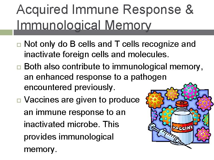 Acquired Immune Response & Immunological Memory Not only do B cells and T cells