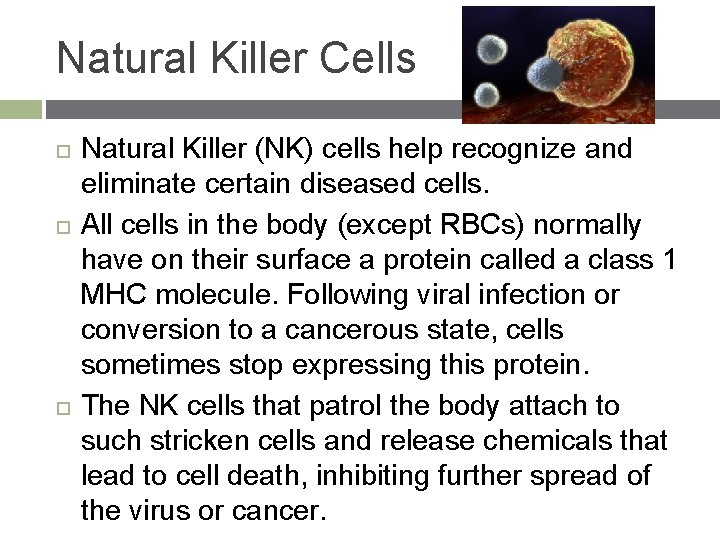 Natural Killer Cells Natural Killer (NK) cells help recognize and eliminate certain diseased cells.