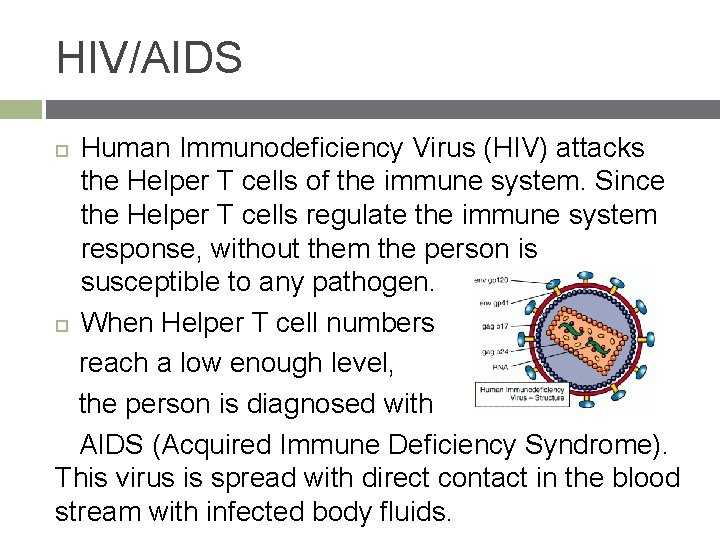 HIV/AIDS Human Immunodeficiency Virus (HIV) attacks the Helper T cells of the immune system.