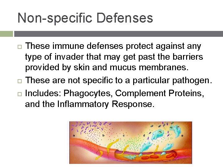 Non-specific Defenses These immune defenses protect against any type of invader that may get