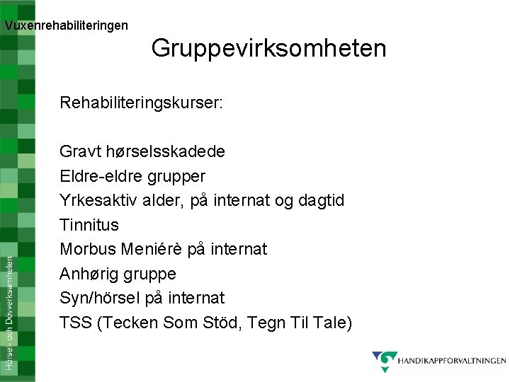 Vuxenrehabiliteringen Gruppevirksomheten Rehabiliteringskurser: Gravt hørselsskadede Eldre-eldre grupper Yrkesaktiv alder, på internat og dagtid Tinnitus