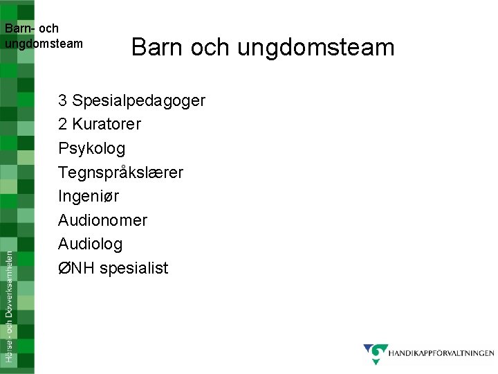 Barn- och ungdomsteam Barn och ungdomsteam 3 Spesialpedagoger 2 Kuratorer Psykolog Tegnspråkslærer Ingeniør Audionomer