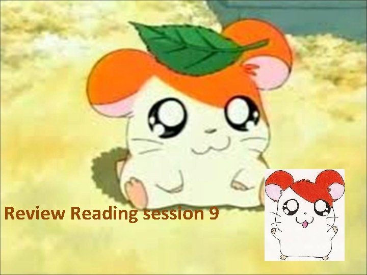 Review Reading session 9 