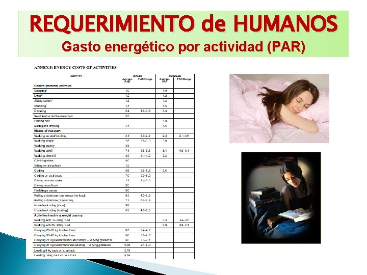 REQUERIMIENTO de HUMANOS Gasto energético por actividad (PAR) 