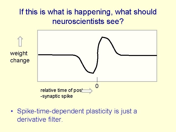If this is what is happening, what should neuroscientists see? weight change relative time