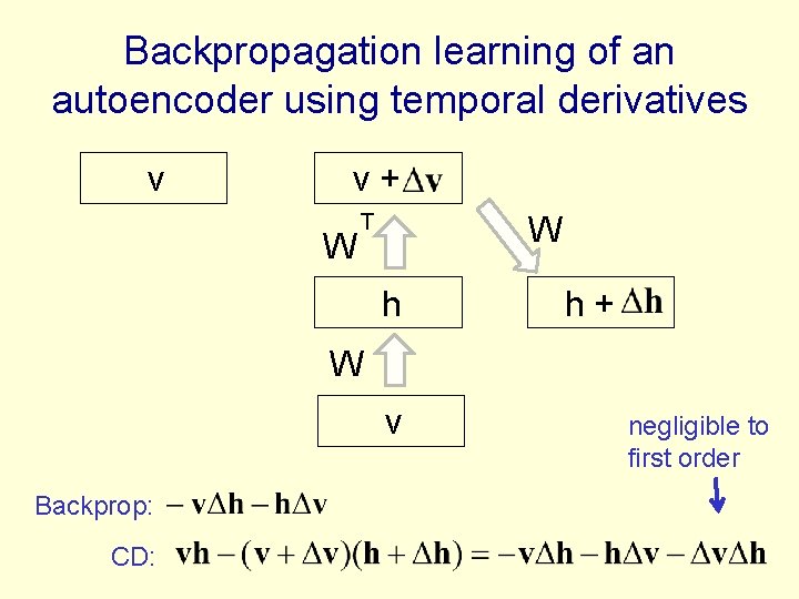 Backpropagation learning of an autoencoder using temporal derivatives v v+ W T W h