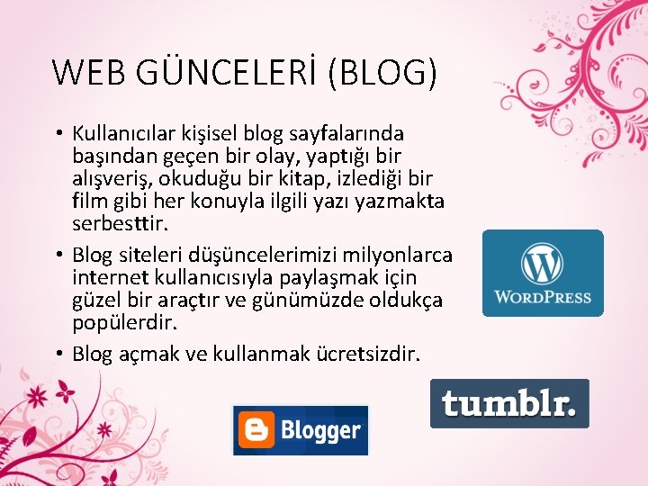 WEB GÜNCELERİ (BLOG) • Kullanıcılar kişisel blog sayfalarında başından geçen bir olay, yaptığı bir