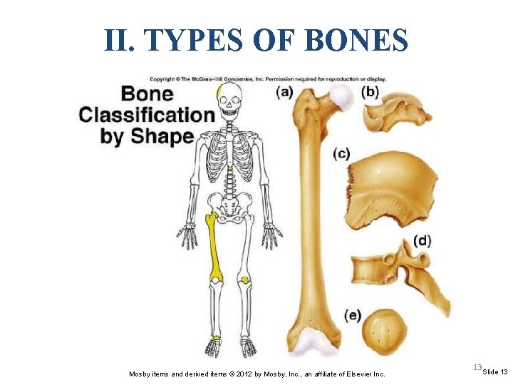 II. TYPES OF BONES Mosby items and derived items © 2012 by Mosby, Inc.