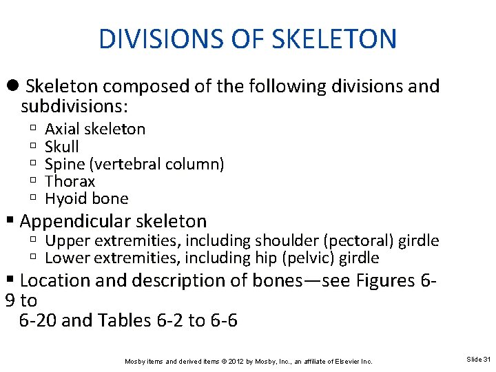 DIVISIONS OF SKELETON l Skeleton composed of the following divisions and subdivisions: Axial skeleton