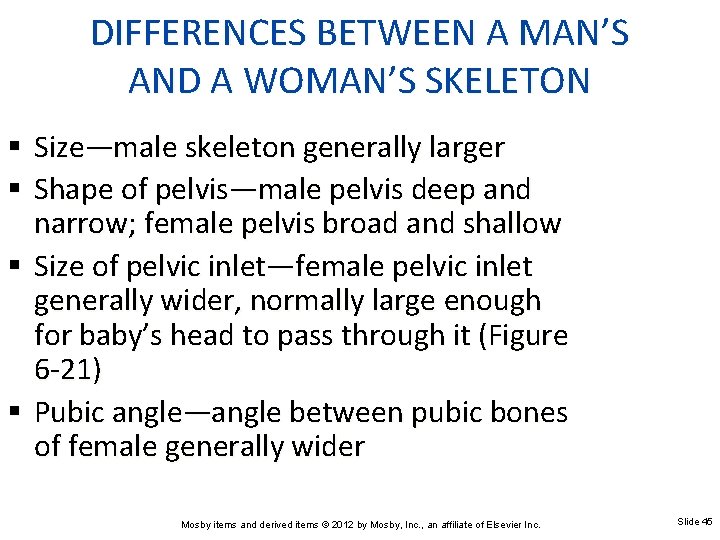 DIFFERENCES BETWEEN A MAN’S AND A WOMAN’S SKELETON Size—male skeleton generally larger Shape of