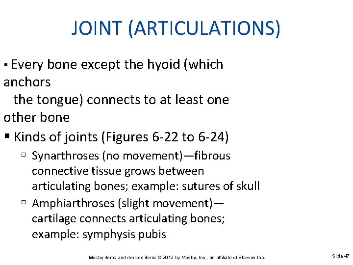 JOINT (ARTICULATIONS) Every bone except the hyoid (which anchors the tongue) connects to at