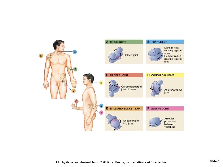 Mosby items and derived items © 2012 by Mosby, Inc. , an affiliate of