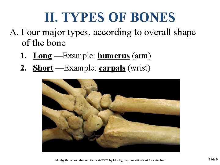 II. TYPES OF BONES A. Four major types, according to overall shape of the