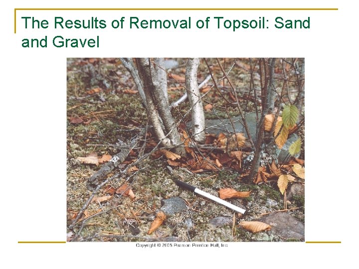 The Results of Removal of Topsoil: Sand Gravel 