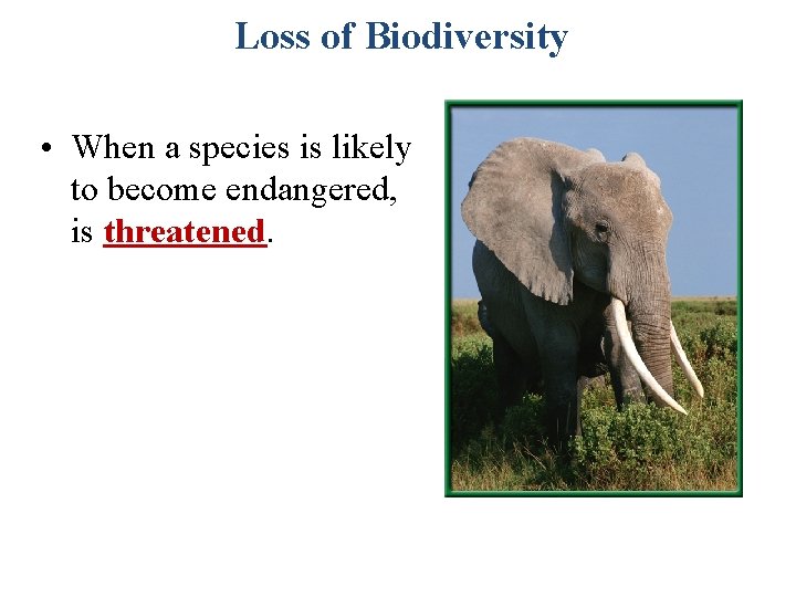 Loss of Biodiversity • When a species is likely to become endangered, is threatened.