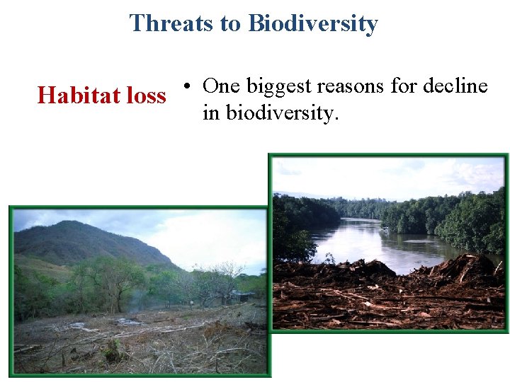 Threats to Biodiversity • One biggest reasons for decline Habitat loss in biodiversity. 