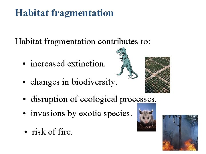 Habitat fragmentation contributes to: • increased extinction. • changes in biodiversity. • disruption of