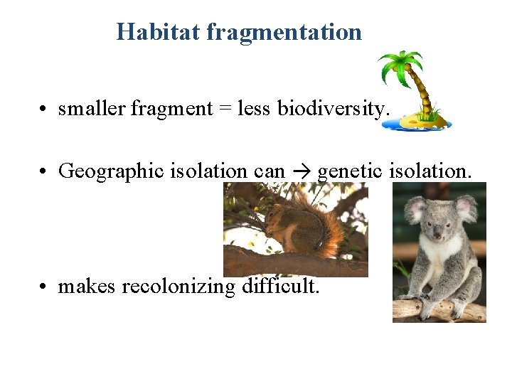 Habitat fragmentation • smaller fragment = less biodiversity. • Geographic isolation can → genetic