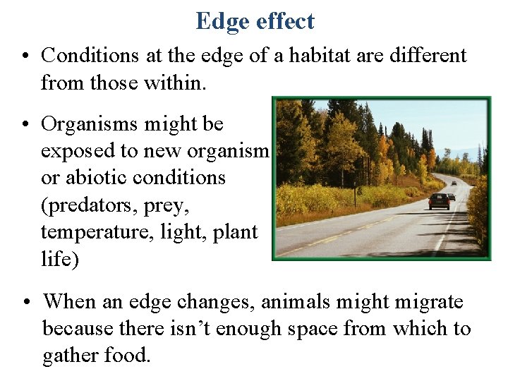 Edge effect • Conditions at the edge of a habitat are different from those