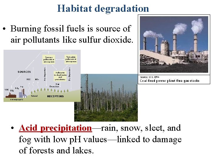 Habitat degradation • Burning fossil fuels is source of air pollutants like sulfur dioxide.