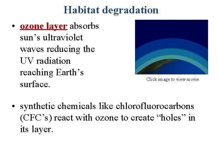 Habitat degradation • ozone layer absorbs sun’s ultraviolet waves reducing the UV radiation reaching