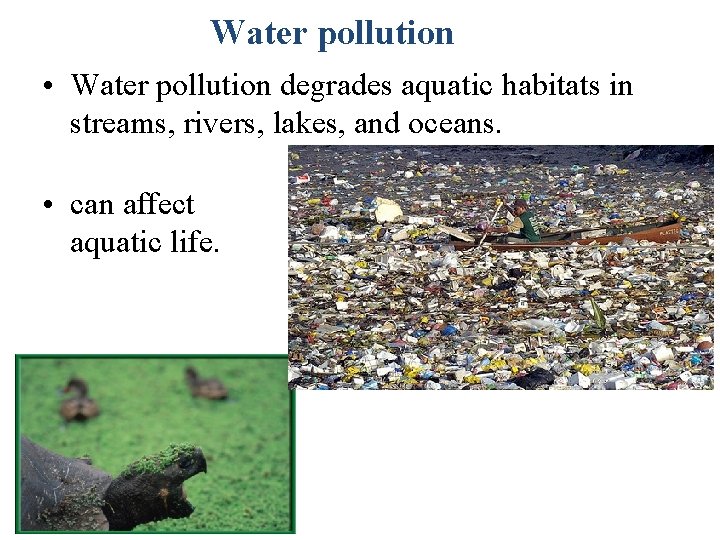 Water pollution • Water pollution degrades aquatic habitats in streams, rivers, lakes, and oceans.