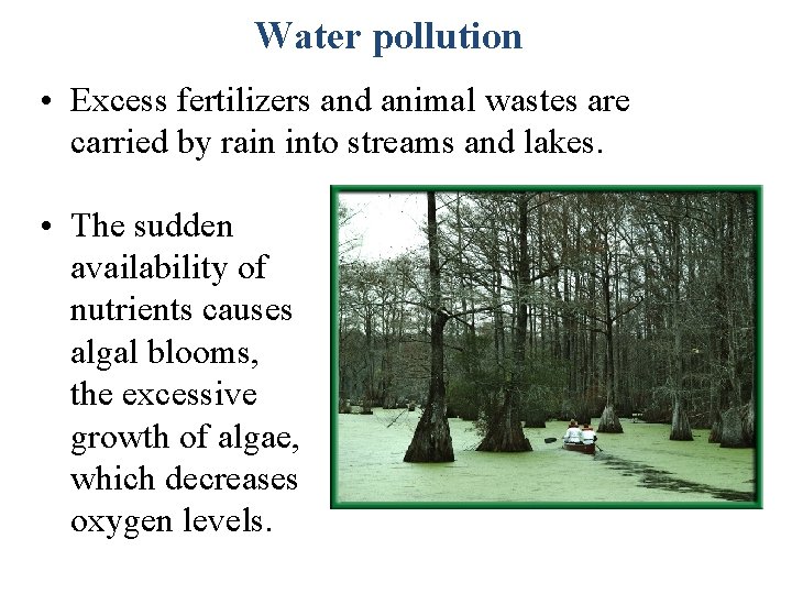 Water pollution • Excess fertilizers and animal wastes are carried by rain into streams