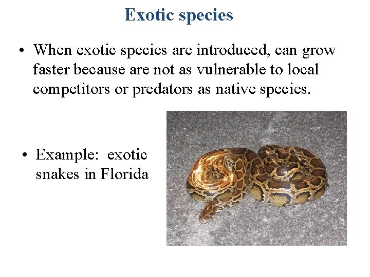 Exotic species • When exotic species are introduced, can grow faster because are not