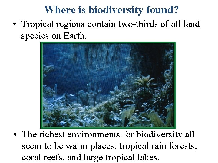 Where is biodiversity found? • Tropical regions contain two-thirds of all land species on
