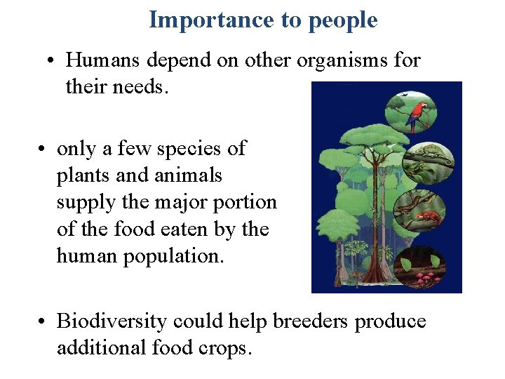 Importance to people • Humans depend on other organisms for their needs. • only